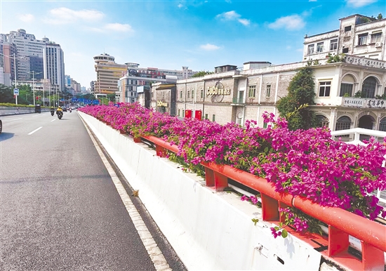 绵延不绝的“城市花瀑”为城市增添缤纷色彩。