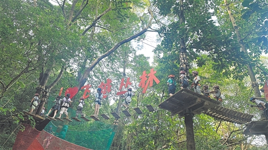 全新开业的白水带飞越丛林探险乐园，迅速成为江门近郊游的热门项目。