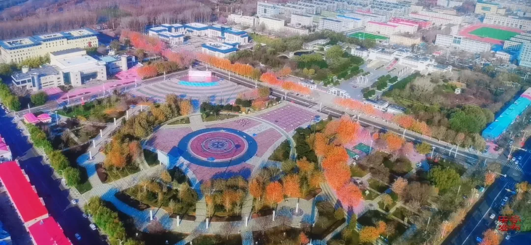 图片 2.png