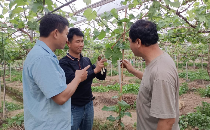 https://mmbiz.qpic.cn/sz_mmbiz_png/DxYtWJR8vGKmMbB9LkTEWonbfkyxticyliccSgmM7qicGJwNoLzAuekJiaoIZevkJB00BeuvjiatCeyP0kCuKfeLRXg/640?wx_fmt=png