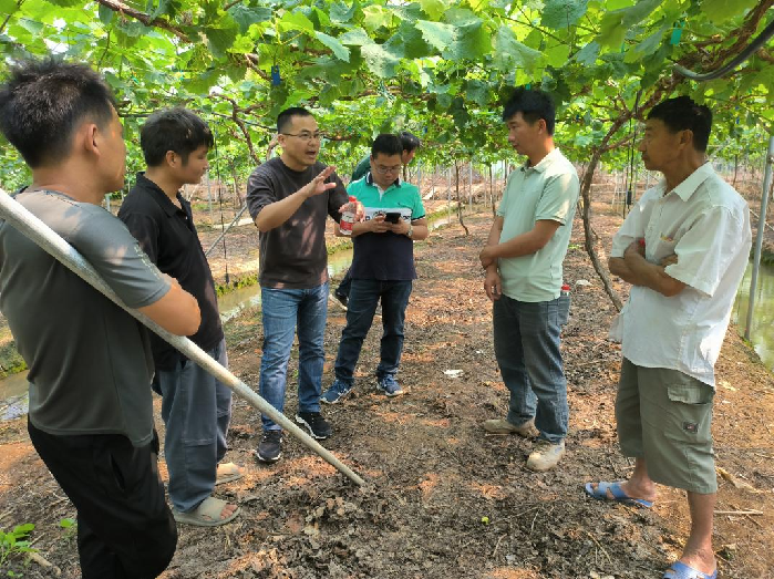 https://mmbiz.qpic.cn/sz_mmbiz_png/DxYtWJR8vGKmMbB9LkTEWonbfkyxticylg8ByyqBt7ha53v2HqqoAzsdFIegNibDkphia0Qfia46ib1QQcCL9ShhuOw/640?wx_fmt=png