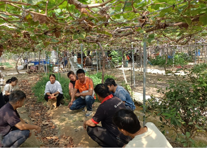 https://mmbiz.qpic.cn/sz_mmbiz_png/DxYtWJR8vGKmMbB9LkTEWonbfkyxticyl9l3LCod7yjvdPpo2NtOSROnQMIQ59OjL9cYtUicRcy1ygpCE3eYDtyA/640?wx_fmt=png