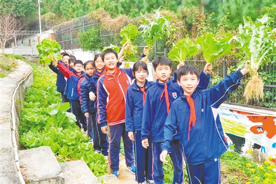 鹤山市碧桂园学校将劳动教育作为培养学生核心素养的重要内容。