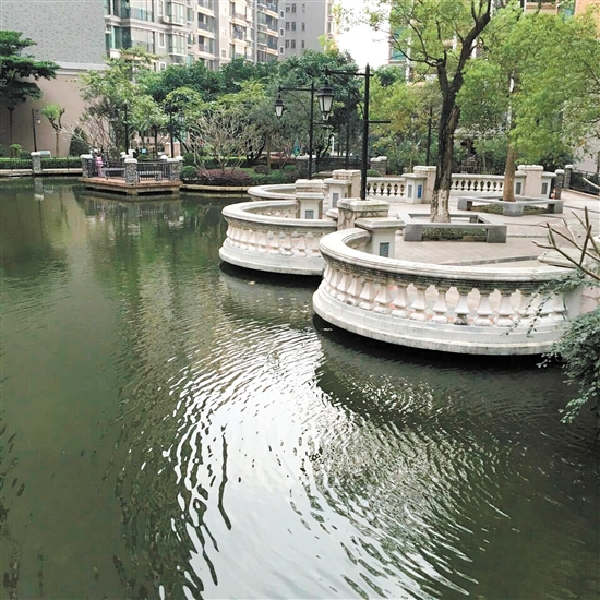第一名:《生活在水一方》 第一名:《生活在水一方》
