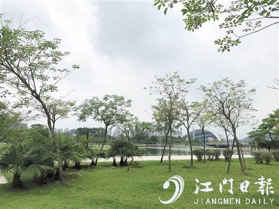 滨江新区园林景观丰富。