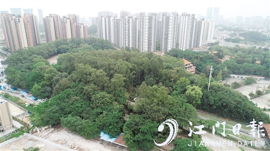 地块实景图。