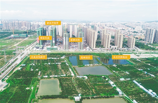地块实景图。