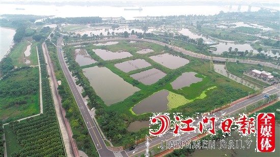 蓬江18号地实景图。
