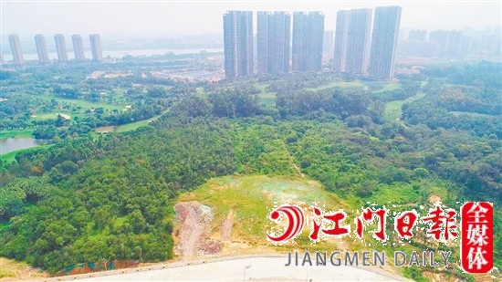 蓬江区猪乸环地段地块实景图。
