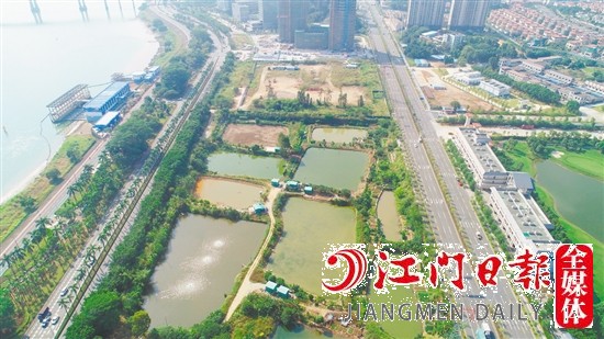 滨江大道旁地块实景图。