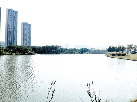 近年来，江门居住环境越来越好。