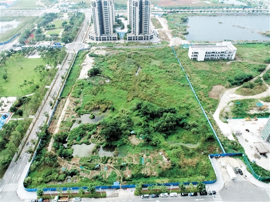 编号为JCR2024-164（江海10）号的商住用地位于江海区35号地规划五路和龙湖路交界东南侧。