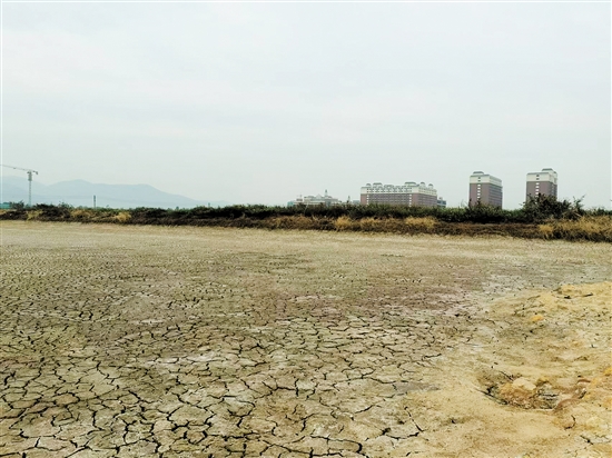 广州华立学院拿下的地块将为江门校区的发展提供更大空间。