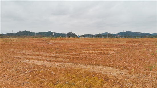 该地块位于新会区江睦新能源双碳产业园新中公路北侧、胜利南路南延线西侧。