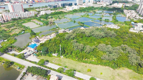 江门市JCR2025-148(蓬江22)号地。 江门市JCR2025-148(蓬江22)号地。