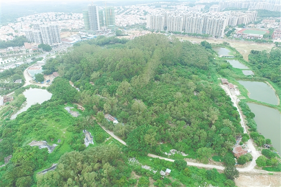 江门市JCR2025-188(台山27)号地。 江门市JCR2025-188(台山27)号地。