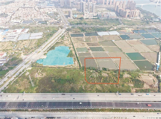 江门市JCR2026-54（江海01）号地。