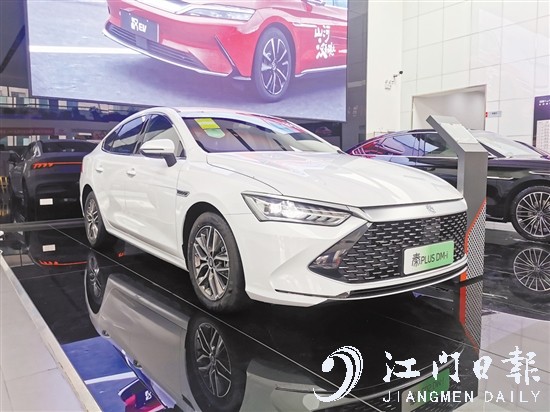 亮相车型：比亚迪秦PLUS