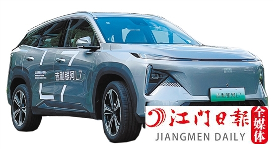自主品牌