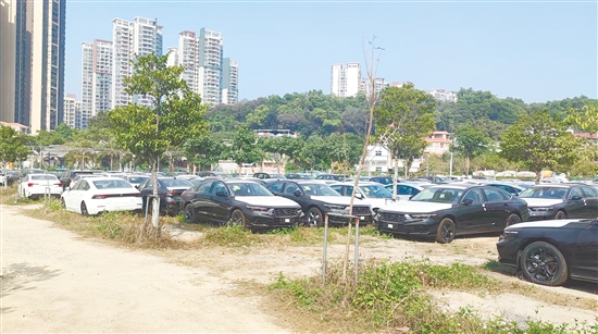 燃油车现车货源充裕。